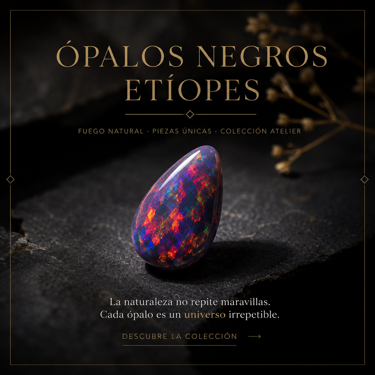 Portada Black Opal
