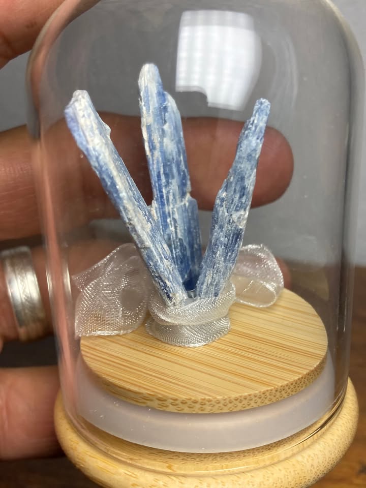 💙 Cianita Azul en Cúpula de Cristal 🧠
