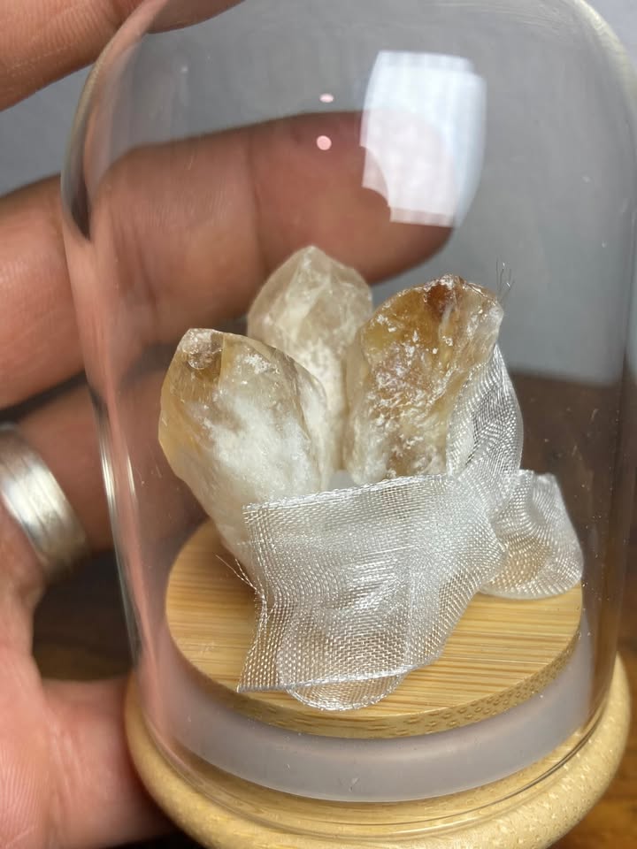 💛 Citrino Natural en Cúpula de Cristal 💰