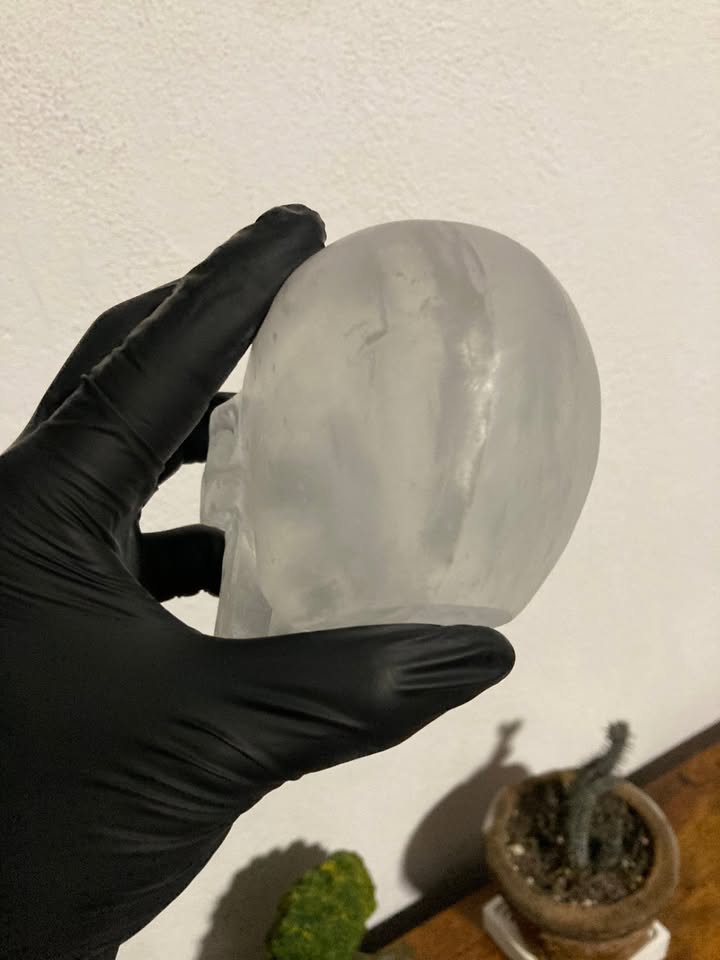 Craneo de Selenita