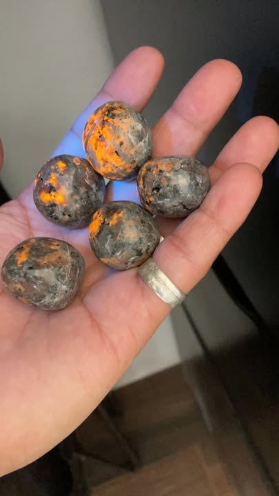VENTA MAYOREO: Pack 5 piezas de Yooperlita pulida (Fluorescencia bajo luz UV)
