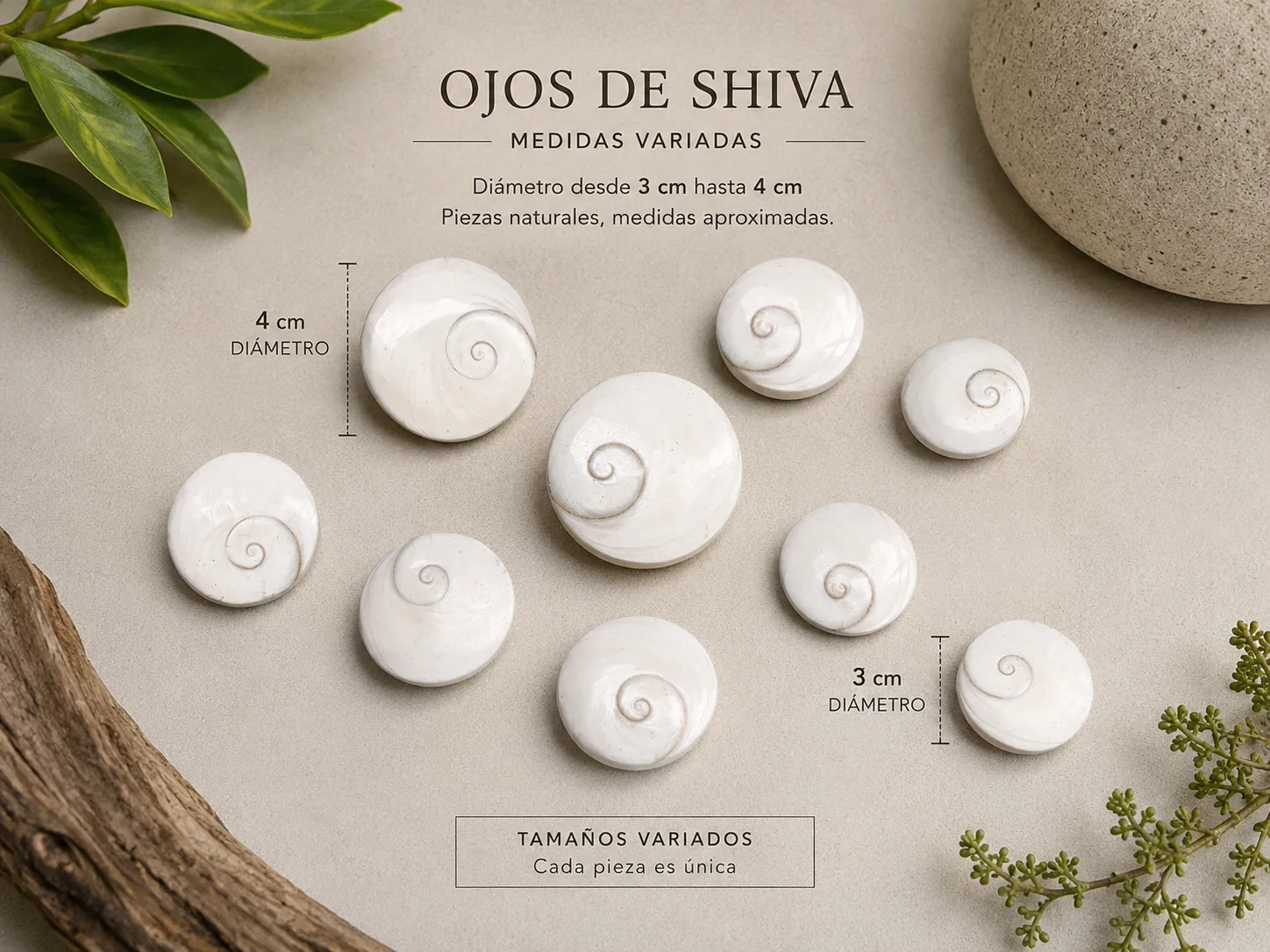 Ojos De Shiva Naturales Pulidos 3 A 4 Cm Lote Variado